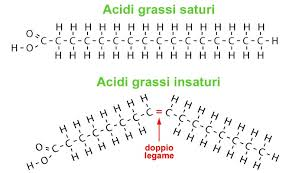 catena degli acidi grassi saturi e insaturi