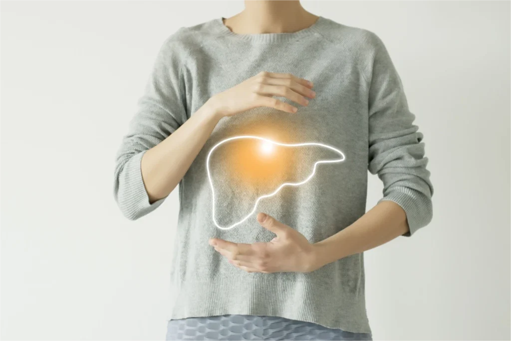 il fegato è l'organo chiave per il metabolismo del colesterolo