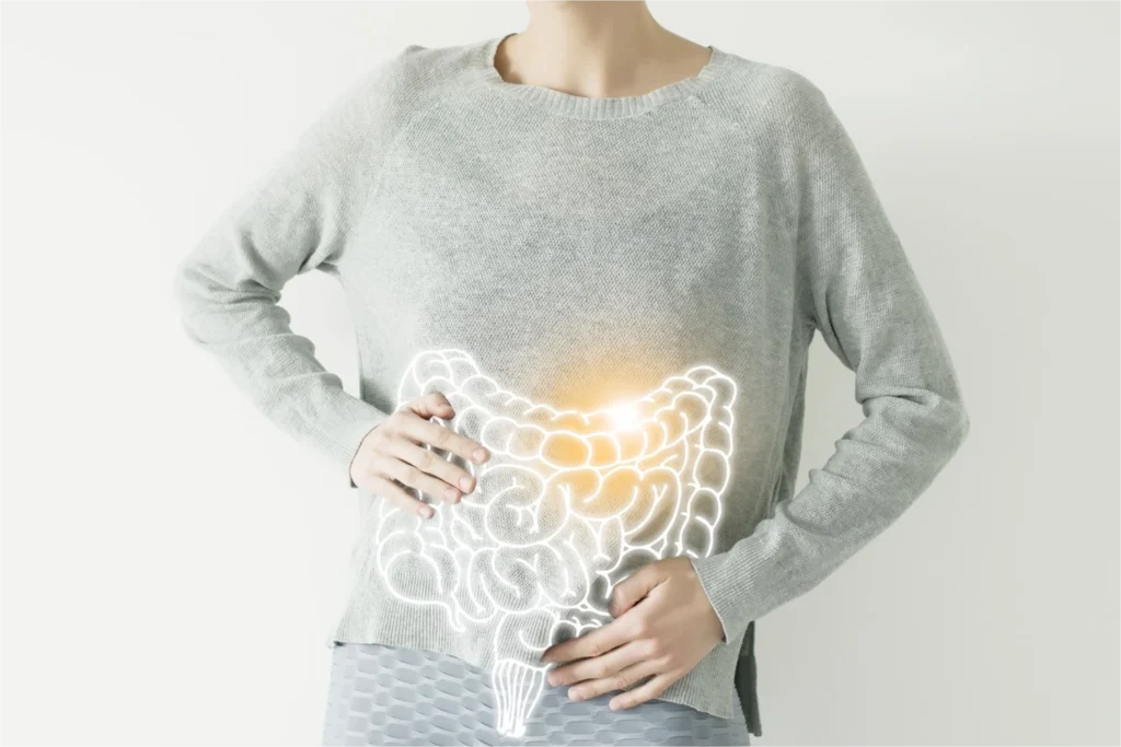 l'intestino viene rappresentato come organo essenziale per la digestione