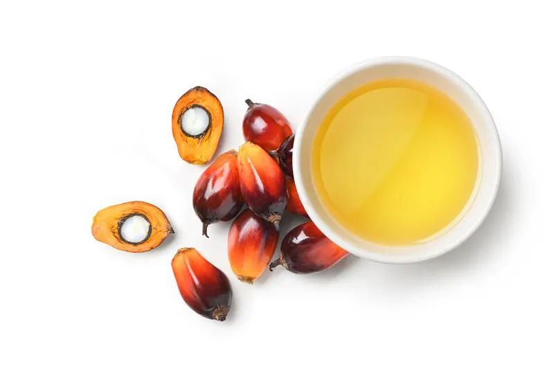 Ciotola di olio di palma