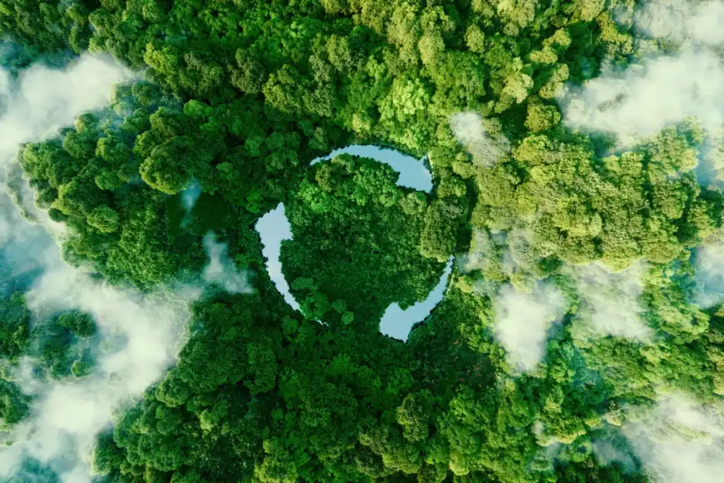 Foresta verde con laghetto centrale, vista aerea dall'alto.